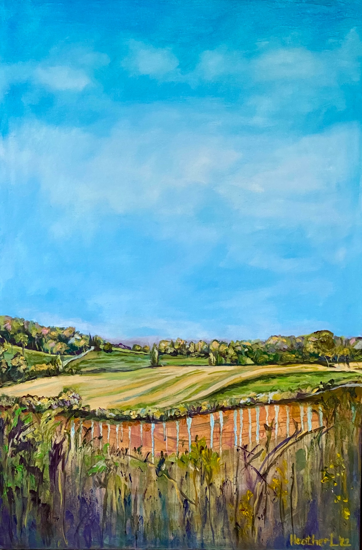Long view, Burwardsley Cheshire - Acrylic on canvas by Heather Lavender