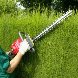 HHH25D HEDGE TRIMMER
